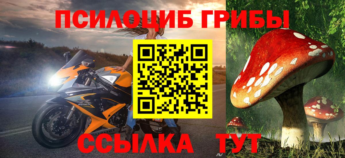 Холмск  Псилоцибиновые грибы мицелий  Вход с VPN  Галлюциногенные грибы Cubensis 